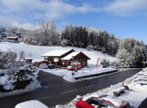 Appartement au cœur du domaine du grand massif Morillon